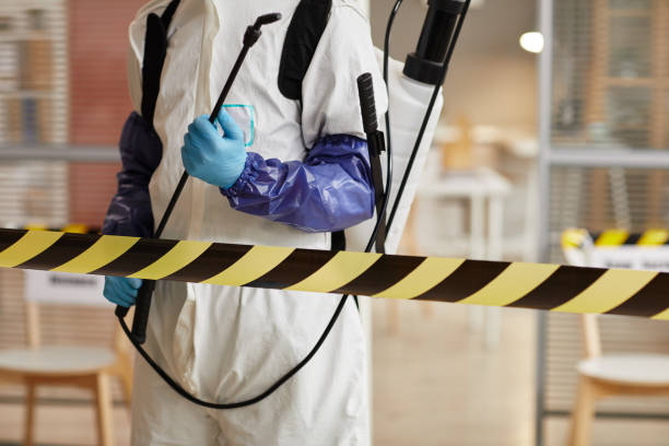 Professional Blood Cleanup technician working in Live Oak, TX